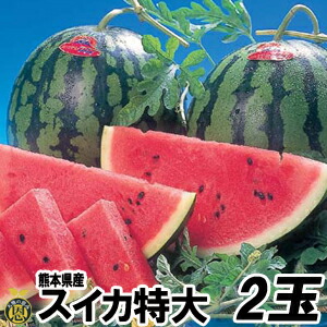 スイカ　特大サイズ 2玉（約８ｋｇ）【送料無料】熊本県産　西瓜
