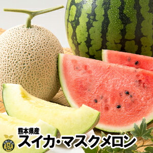 スイカ１玉・マスクメロン１玉【送料無料】熊本県産　西瓜　高級メロン　ギフト