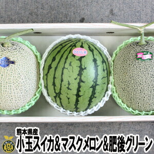 マスクメロン・小玉スイカ・肥後グリーンメロン　詰め合わせ【送料無料】