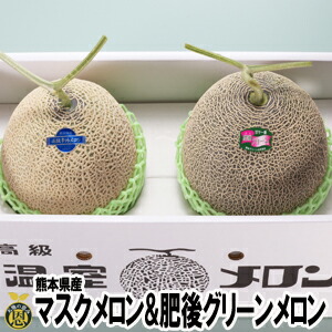 マスクメロン１玉・肥後グリーンメロン１玉【送料無料】熊本県産　高級メロン　ギフト