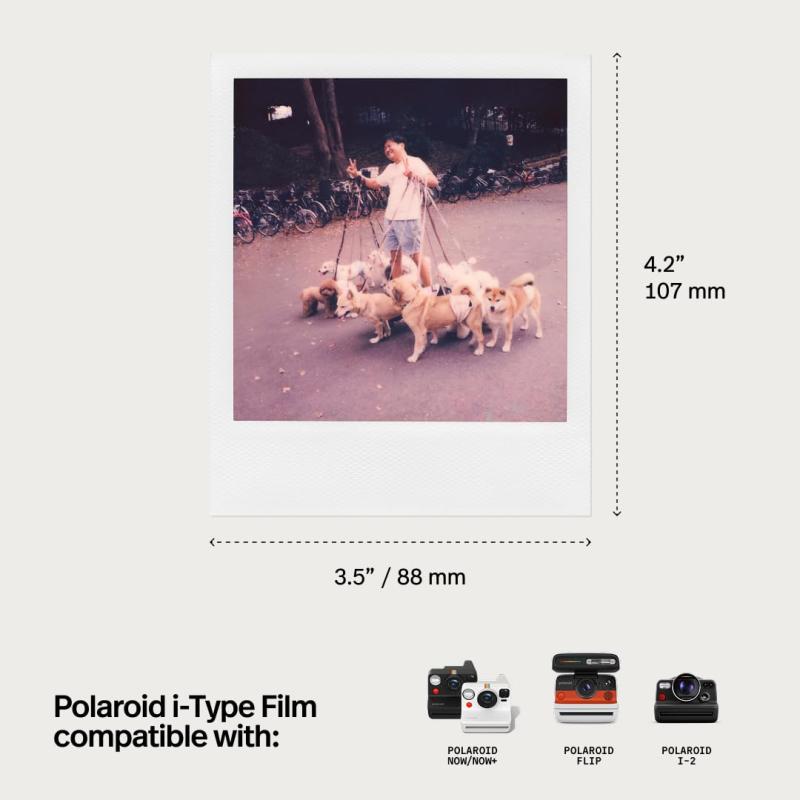 Polaroid(ポラロイド) インスタントフィルム i-Type Film 11,357円