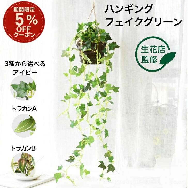 楽天市場】【5%OFFクーポン有り！楽天SS期間中♪】グリーンシダレ