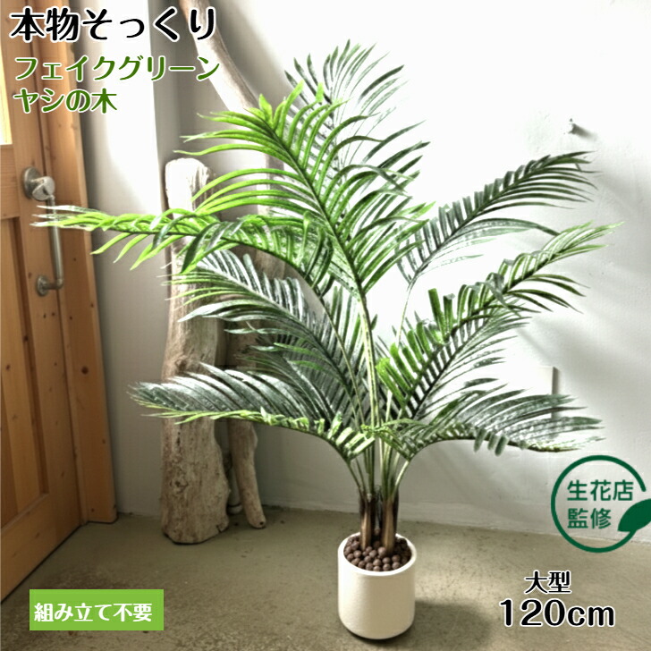楽天市場】【生花店監修】 フェイクグリーン ヤシの木 150cm 大型 観葉