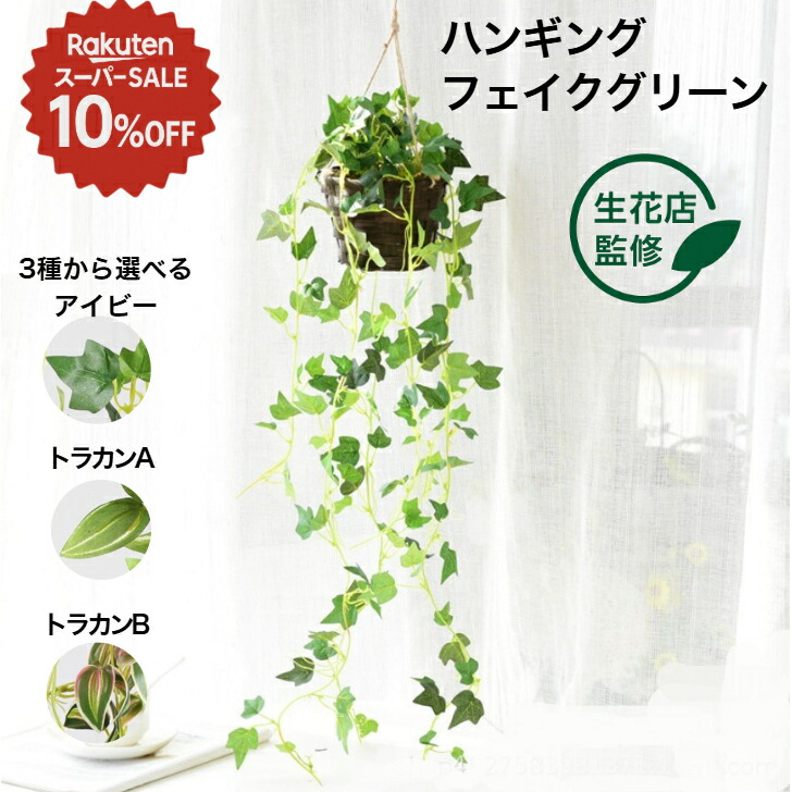 楽天市場】【5%OFFクーポン有り！3月6日限り】グリーンシダレ