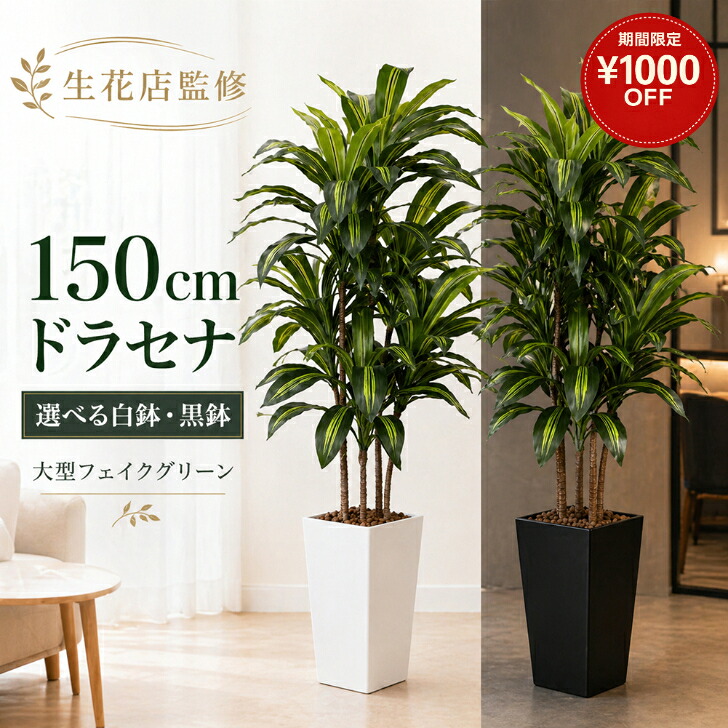 ＼7/31まで 1000円off／ 【生花店監修】 フェイクグリーン ドラセナ 150cm 大型 観葉植物 フェイク 造花 鉢付き 人工観葉植物 おしゃれ 室内 インテリア グリーン リビング 玄関 オフィス 店舗 白鉢 黒鉢 選べる Kugusa｜Kugusa 店