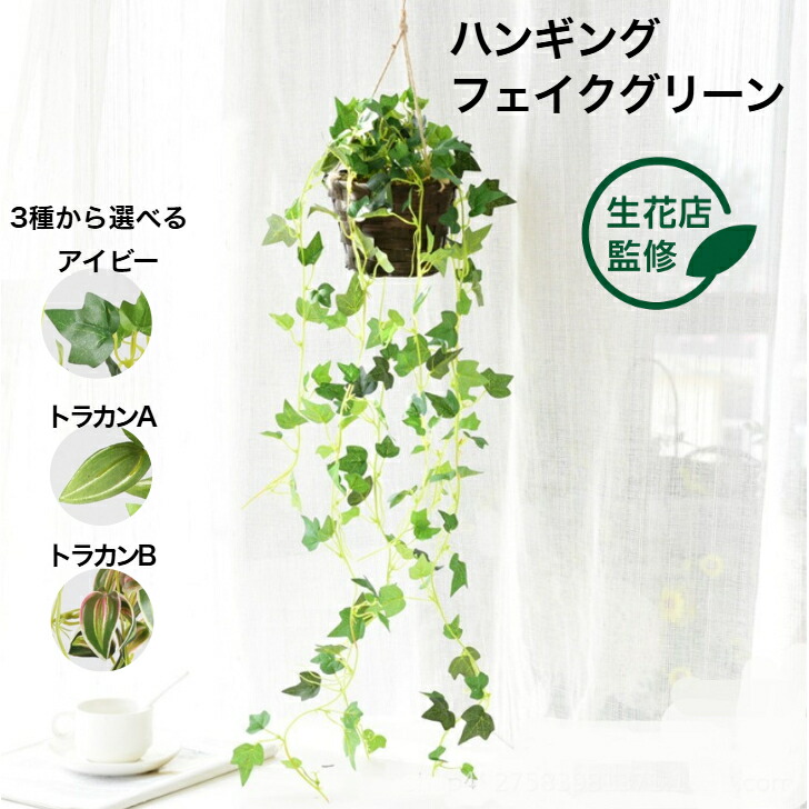 楽天市場】【3%OFFクーポン有り！3月1日限り】グリーンシダレ