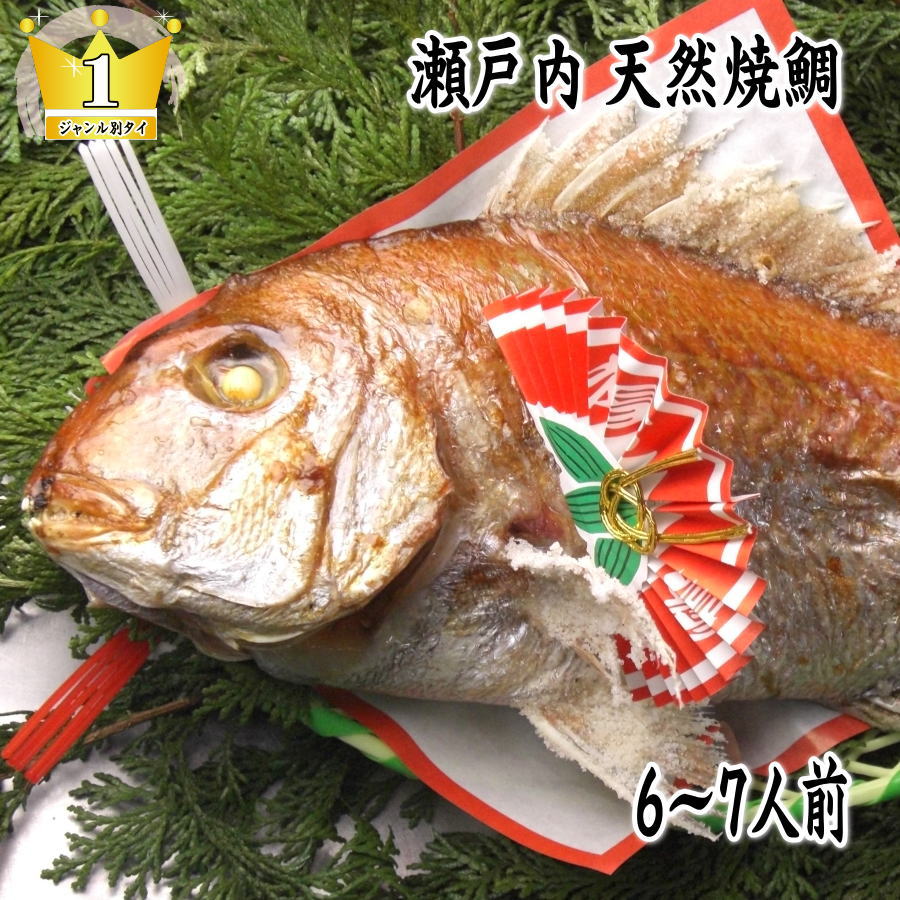 送料無料 お食い初め 鯛 祝鯛 国内外の人気集結！ 天然焼き鯛 １．２kgアップ お祝い用 祝い飾り付き 炭火焼の祝い鯛 尾頭付き 御七夜 おくいぞめ 明石鯛を心を込めて焼き上げます 鯛の塩焼き 淡路島 にらみだいにも最適な オープニング 天然焼鯛の