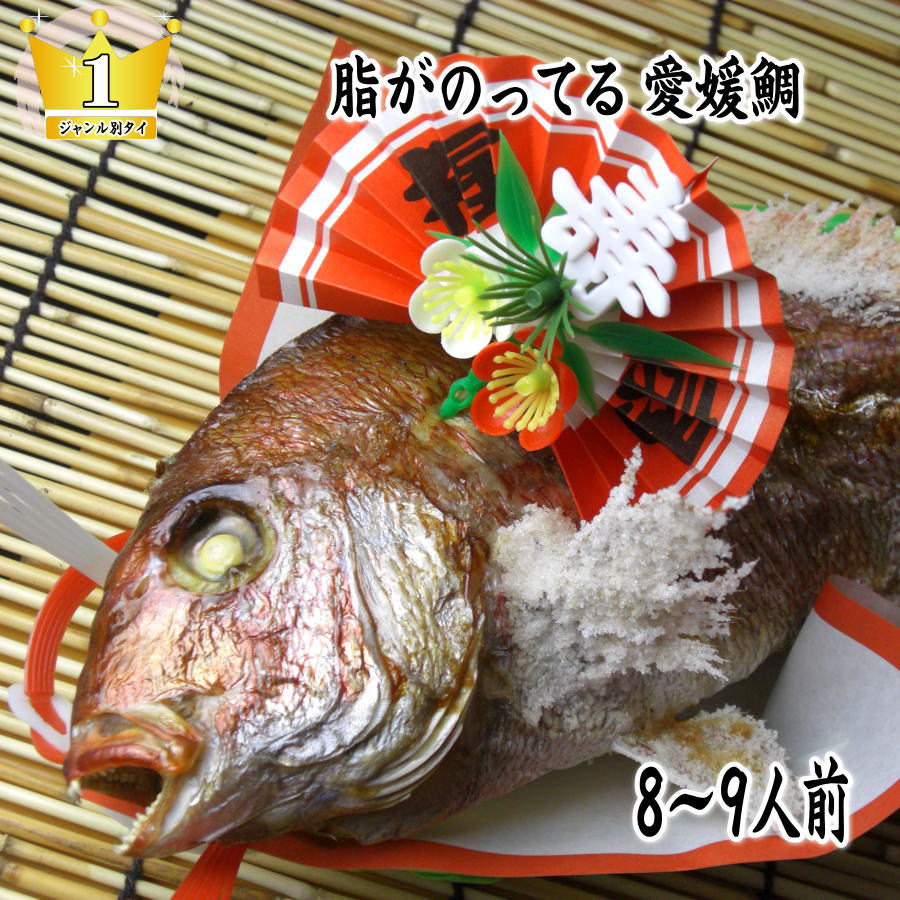 【祝い鯛】【送料無料】【お食い初め　鯛】　<br>国産真鯛　焼き鯛　祝鯛　炭火焼 <br> １．７kgupの愛媛県の真鯛【祝い飾り付き】<br>真冬でも脂がのってうまい！おくいぞめ、にらみだいにも最適な【鯛の塩焼き】【尾頭付き鯛】【焼き鯛】　【お食い初め鯛】御七夜