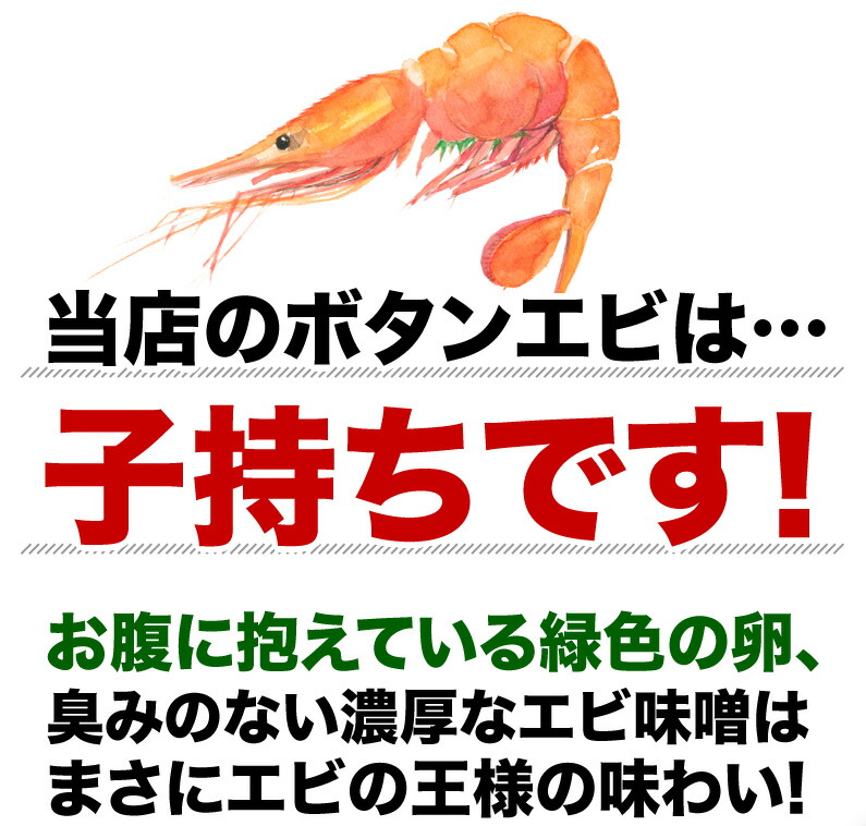 保存版 北海道産 お刺身用天然 特大 子もちボタン海老 2lサイズ 1kg 500g 2 10尾前後 送料無料 産地直送 代引き手数料無料 Www Lexusoman Com