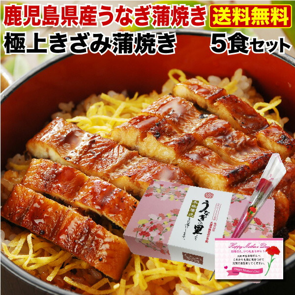 母の日 ポイント5倍 グルメ ギフト プレゼント うなぎ 蒲焼き 国産 鹿児島産 送料無料 きざみ蒲焼き5食セット うなぎの里 ギフト 鰻 ウナギ クール Educaps Com Br