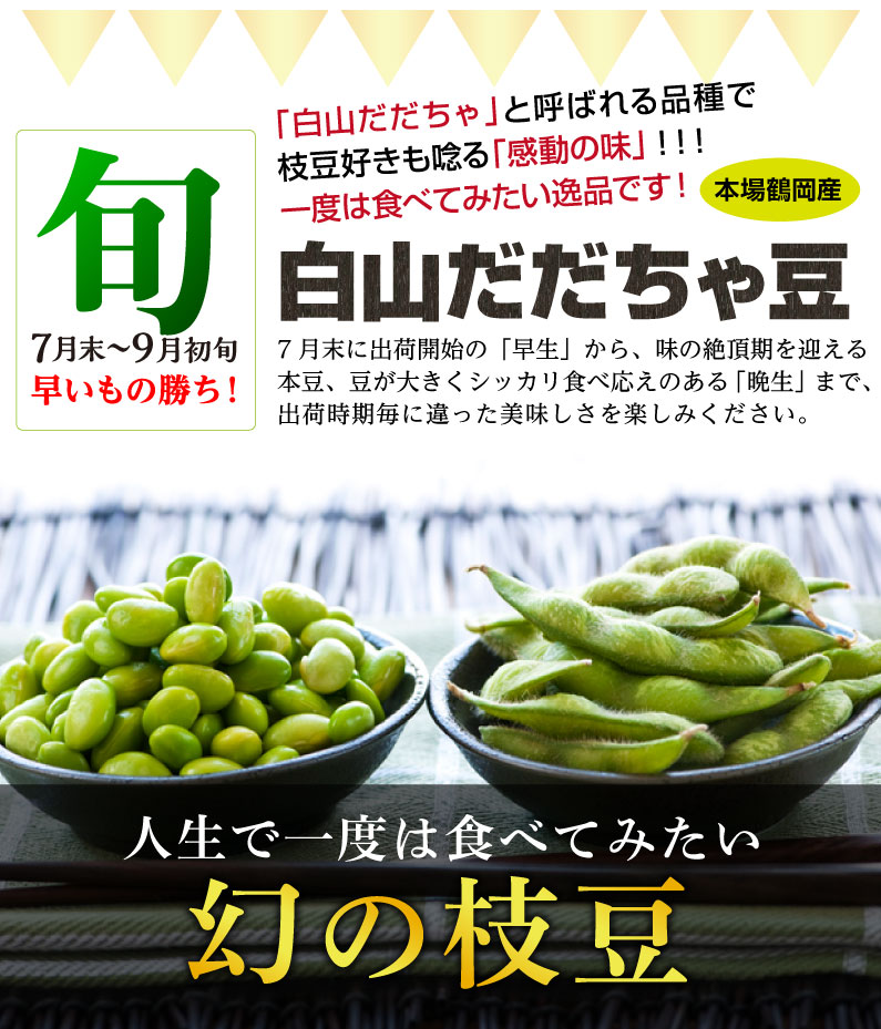 枝豆だだちゃ豆数量限定幻の枝豆「白山だだちゃ豆・本豆」木村名人の完熟だだちゃ豆本豆1.5kg(500g×3袋)クール便で朝採れをお届け♪