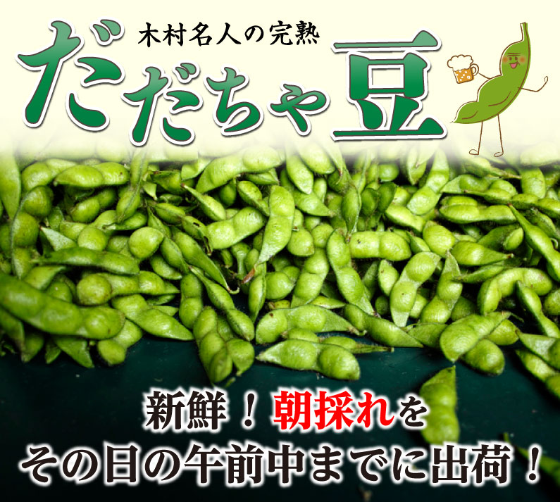 枝豆だだちゃ豆数量限定幻の枝豆「白山だだちゃ豆・本豆」木村名人の完熟だだちゃ豆本豆1.5kg(500g×3袋)クール便で朝採れをお届け♪