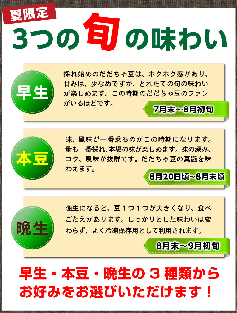 枝豆だだちゃ豆数量限定幻の枝豆「白山だだちゃ豆・本豆」木村名人の完熟だだちゃ豆本豆1.5kg(500g×3袋)クール便で朝採れをお届け♪