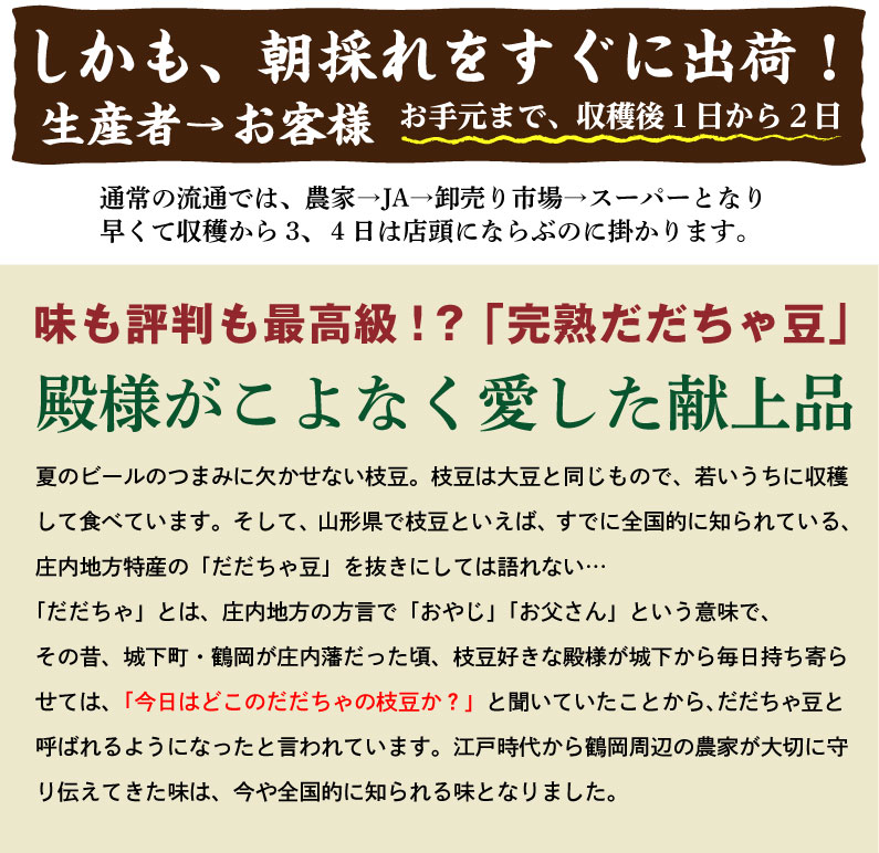 枝豆だだちゃ豆数量限定幻の枝豆「白山だだちゃ豆・本豆」木村名人の完熟だだちゃ豆本豆1.5kg(500g×3袋)クール便で朝採れをお届け♪