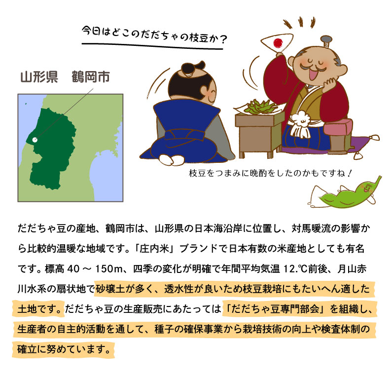 枝豆だだちゃ豆数量限定幻の枝豆「白山だだちゃ豆・本豆」木村名人の完熟だだちゃ豆本豆1.5kg(500g×3袋)クール便で朝採れをお届け♪