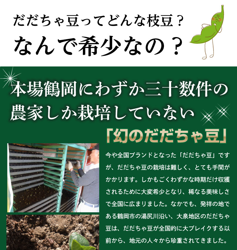 枝豆だだちゃ豆数量限定幻の枝豆「白山だだちゃ豆・本豆」木村名人の完熟だだちゃ豆本豆1.5kg(500g×3袋)クール便で朝採れをお届け♪