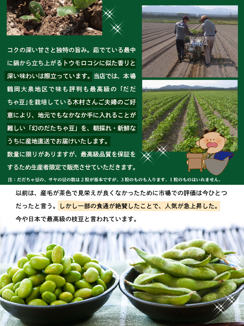 枝豆だだちゃ豆数量限定幻の枝豆「白山だだちゃ豆・本豆」木村名人の完熟だだちゃ豆本豆1.5kg(500g×3袋)クール便で朝採れをお届け♪