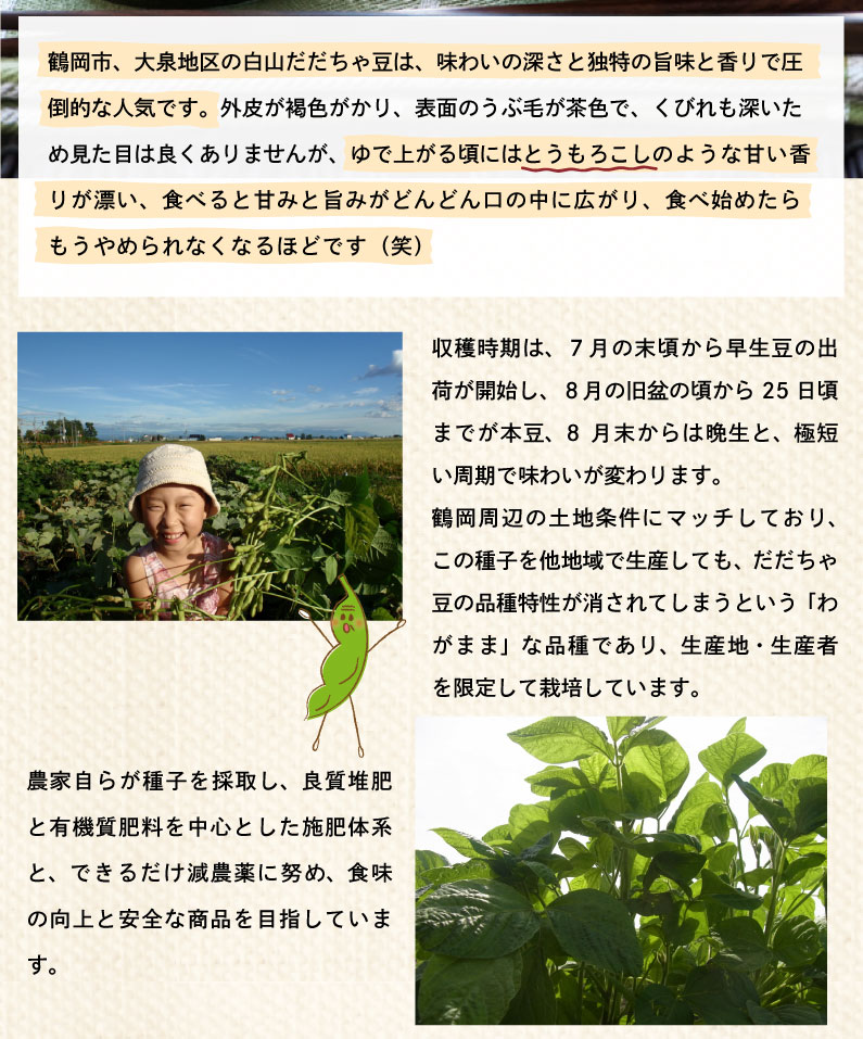 枝豆だだちゃ豆数量限定幻の枝豆白山だだちゃ豆・本豆木村名人の完熟だだちゃ豆本豆1.5kg(500g×3袋)朝採れをお届け