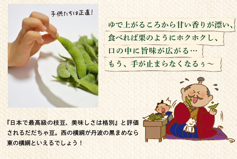 枝豆だだちゃ豆数量限定幻の枝豆白山だだちゃ豆木村名人の完熟だだちゃ豆1.5kg(500g×3袋)早生・本豆・晩生朝採れをお届け