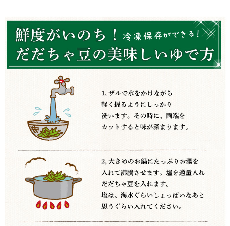 枝豆だだちゃ豆数量限定幻の枝豆白山だだちゃ豆木村名人の完熟だだちゃ豆1.5kg(500g×3袋)早生・本豆・晩生朝採れをお届け