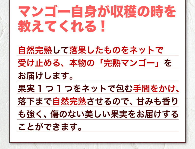 落ち5倍 お父さんの一日 礼物 頂戴物 お中元 果物 フルーツ マンゴー 宮崎 ご住まい使い道でも 練れるマンゴー特大2l鞠 350 以上 2玉背景 Ja西都救い 灯センサ皆色選果 古里直送 Y常しえ Magazijnscooter Nl