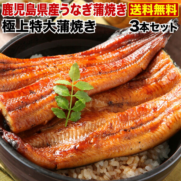 挑戦勝利 うなぎ 送料無料 約0g 3 グルメ 送料無料 食べ物 うなぎの里 プレゼント 鹿児島産 グルメ クール くいしんぼうグルメ便 うなぎの里 より極上蒲焼きを感謝の気持ちを込めて お洒落なギフトboxでお届け 鹿児島産 特大蒲焼き3本セット ギフトbox特典付き