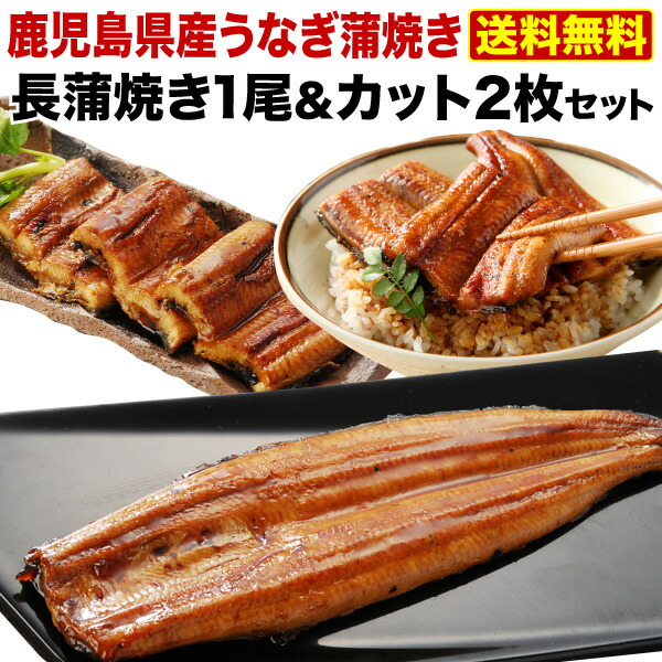 ギフト うなぎ グルメ 食べ物 蒲焼き  国産 鹿児島産 長蒲焼き1尾&amp;カット2枚セット ギフトBOX うなぎの里 クール