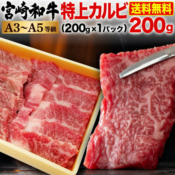 宮崎和牛 黒毛和牛 特上カルビ焼肉 300g 希少部位 三角バラ ザブトン ロース A3〜A5ランク 冷凍 クール便 送料無料  【送料無料（一部地域を除く）】