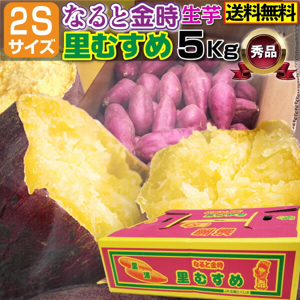 楽天市場】さつまいも 鹿児島県産 ぷち紅はるか 3kg サツマイモ 生芋 小さいサイズ プチ 土つき べにはるか 産地直送 送料別 S常 :  くいしんぼうグルメ便