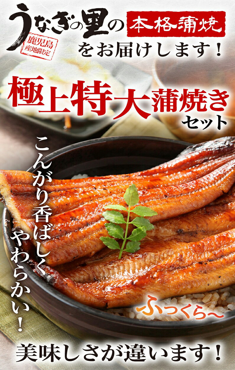 SALE／10%OFF ポイント10倍 敬老の日 ギフト うなぎ 蒲焼き 国産 鹿児島産 特大蒲焼 4本 うなぎの里 鰻 ウナギ 送料無料 海鮮 魚介  お誕生日 内祝い クール fucoa.cl