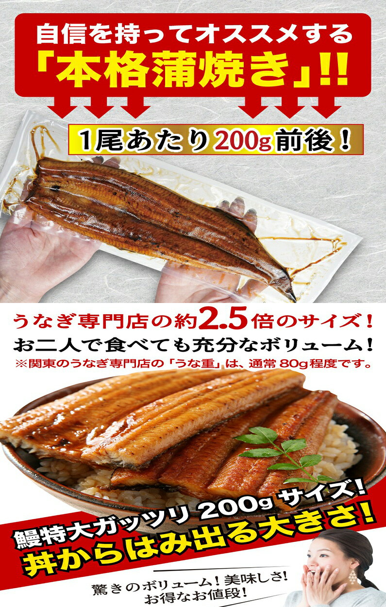 ショップ ポイント10倍 敬老の日 ギフト うなぎ 蒲焼き 国産 鹿児島産 特大蒲焼 4本 うなぎの里 鰻 ウナギ 送料無料 海鮮 魚介 お誕生日  内祝い クール fucoa.cl