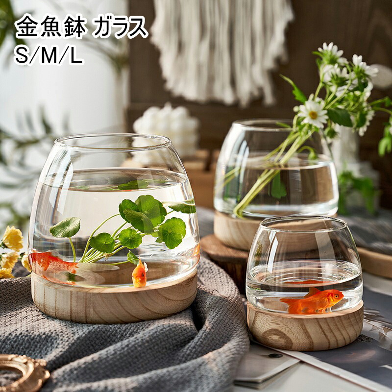 陶器製　アクアリウム　ミニ水槽　めだか　観葉植物や花瓶にも　日本製　信楽焼 陶器製 アクアリウム ミニ水槽 めだか 観葉植物や花瓶にも 日本
