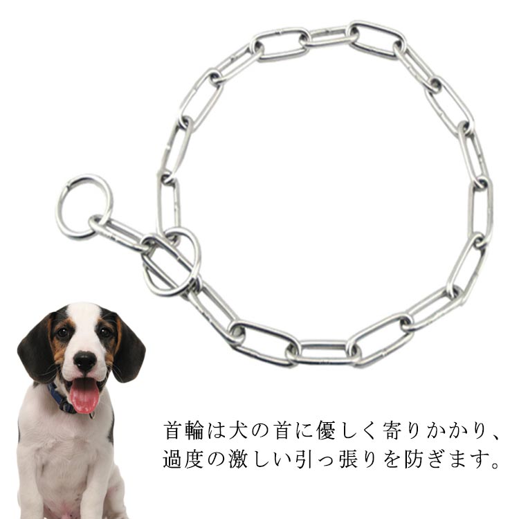 楽天市場】犬 首輪 ステンレス チェーン 引っ張り しつけ用 訓練
