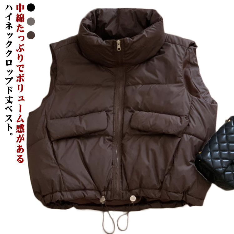 ダウンベスト cjfj921939.jpg