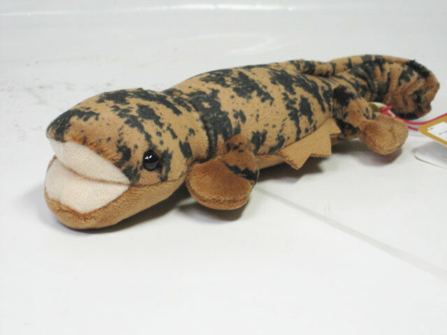 楽天市場】オオサンショウウオ 大山椒魚 サイズ:63cm ふわふわ