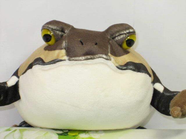 楽天市場 Tst Frog Magnet アメフクラガエル マグネット ぬいぐるみ 蛙 カエル ぬいぐるみ リアル 本物 そっくり ペット ニニアンドキノ
