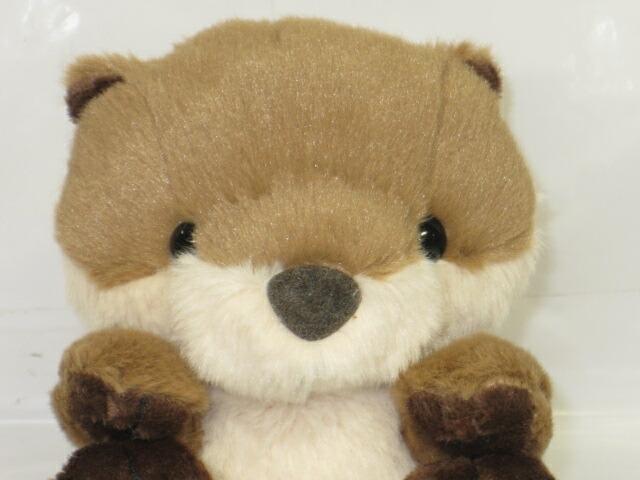 楽天市場】ぬいぐるみ ビーンズ コツメカワウソ【8440】大陸散歩