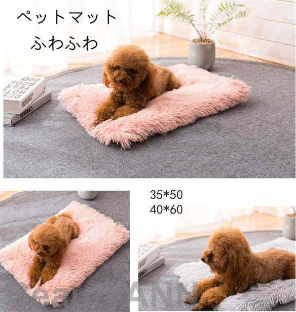 新生活 ペットマット ソファー ペットベッド 洗える ペットクッション 猫用 小型犬 中型犬 大型犬 40*60cm ふわふわ 暖かい あたっか 滑り止め 寝心地抜群 ペット用 グッズ 猫ベッド 犬ベッド あったか 冬用 おしゃれ｜くまカンパニー