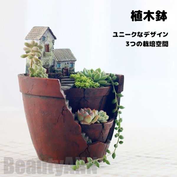 新やって行く 鉢 プランター 多肉 苔 コケリウム 苔リウム 箱庭 鉢 好いたらしい カクタス 多肉植物 寄せ植え 飾り付け 室内装飾 愛くるしげ 脂 テラリウム 入れもの 卓上 ガーデニング グッズ 雑貨 筆筒 差し上げ物 差し上げ物 植木鉢・プランター-植木鉢