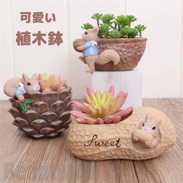 新生きて行く 鉢 プランター ミニ 多肉 苔 コケリウム 苔リウム 箱庭 鉢 好いたらしい カクタス 多肉植物 寄せ植え 飾りつけ 室内装飾 可愛らしい 脂 テラリウム 入れもの 卓上 ガーデニング グッズ 雑貨 差し上げ物 差し上げ物