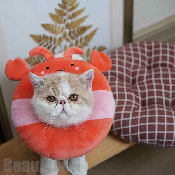 新生きて行く 愛玩動物 猫エリザベス色合い！S M L愛玩動物 猫エリザベス色合い 術後の不可欠品 傷の保護すること 緊迫状態助け出す 色合い S M L エリザベス色合いひまわり 6colour 差し上げ物