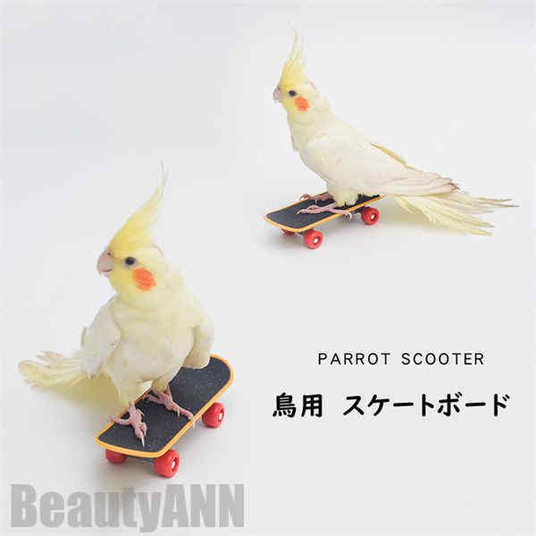 新生きて行く 滑るゲーム盤 鳥用 2点仕掛ける 中型 インコ オウム真理教 鳥設備 愛玩動物 鳥 爪とぎ 手あそび 立て 知育 手あそび 読み合わせる手あそび 剪断応力差し止める 運動すること機能不全差し止める 差し上げ物