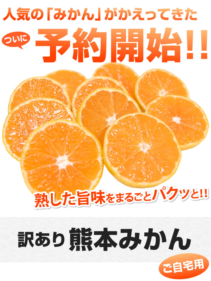 お気に入り】 みかん 送料無料 訳あり 1.5kg 熊本県産 蜜柑 ミカン 柑橘 フルーツ 2セット購入で1セット 3セット購入で3セットおまけ 極早生は果皮が緑  top-mineral.co.il