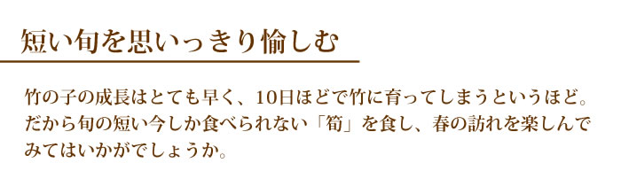 楽天市場 たけのこ 送料無料 竹の子 筍 タケノコ 早堀り 約4kg 目安4本 12本 熊本グルメマーケット 楽天市場店