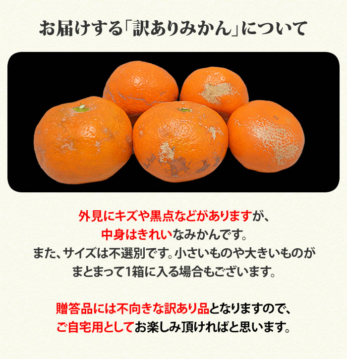 お気に入り】 みかん 送料無料 訳あり 1.5kg 熊本県産 蜜柑 ミカン 柑橘 フルーツ 2セット購入で1セット 3セット購入で3セットおまけ  極早生は果皮が緑 top-mineral.co.il