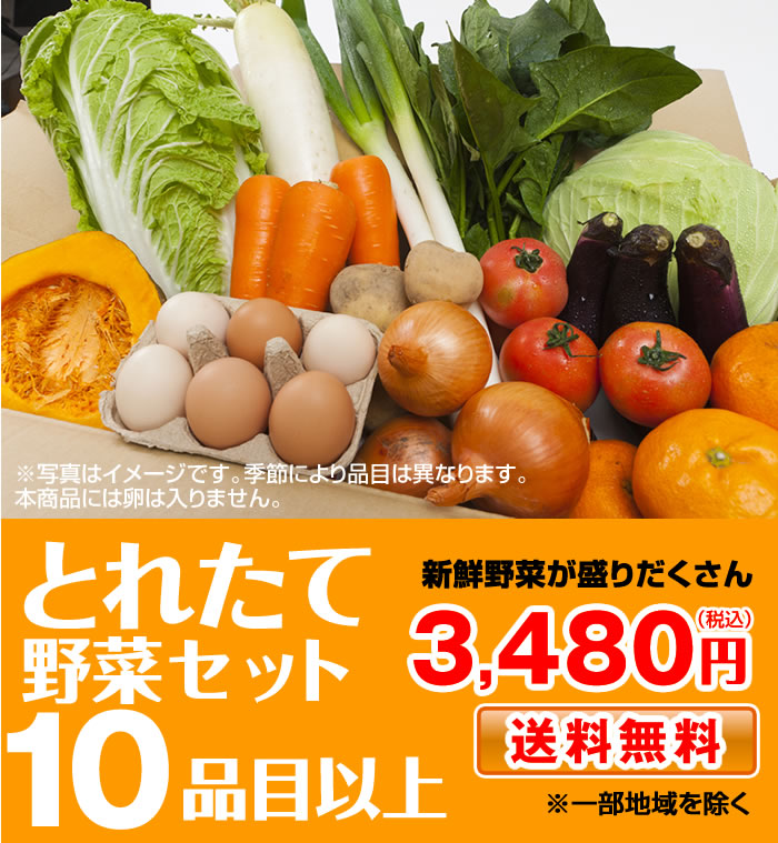 満点の 野菜セット 九州産 熊本産 送料無料 10品以上 お取り寄せ グルメ qdtek.vn