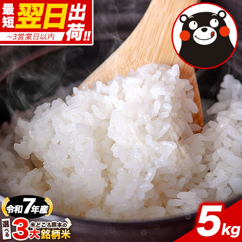 楽天市場】令和7年産 ヒノヒカリ 等3種から選べる 銘柄 米 10kg 20kg