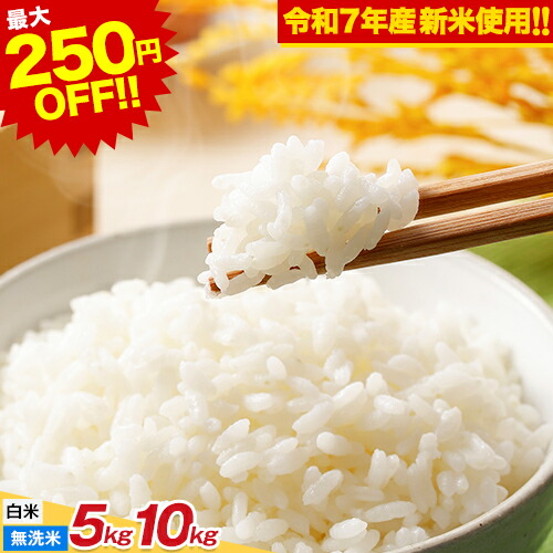 楽天市場】【送料無料 無洗米】【2025年9月下旬以降に発送】備蓄王 5kg