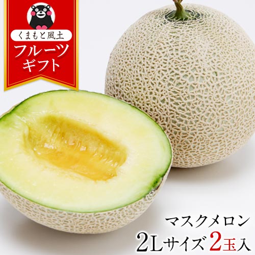 【2玉入りの満足感】九州産 マスクメロン 2玉 送料無料 秀品 2Lサイズ 1.2kg以上×2玉 贈答 贈り物 敬老の日 熨斗 のし フルーツギフト プレゼント 実用的 1玉 以上 《配送予定に記載の日程でお届け》