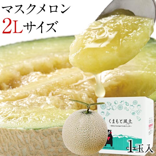 高級マスクメロン 8〜9キロ 6玉 マスクメロン 高知産 5〜6玉入約 8〜9kg 高級温室 ご家庭